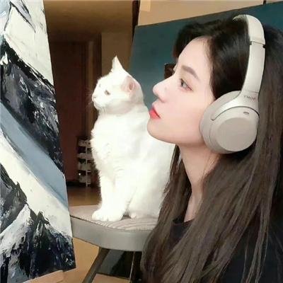 水西之恋